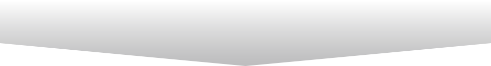 Primary Raster logo